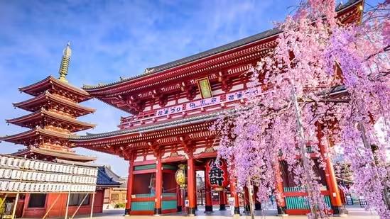 Japan is hiking its visa fees from 2026: The ultimate 20-point bucket list to tick off before 2025 ends